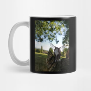 Cat Fairies: Excited Mug